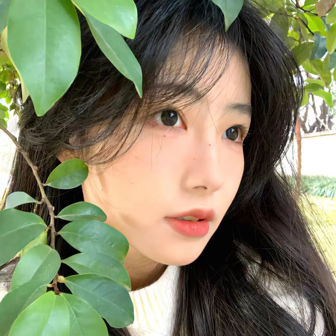 奖项提名者的游行
