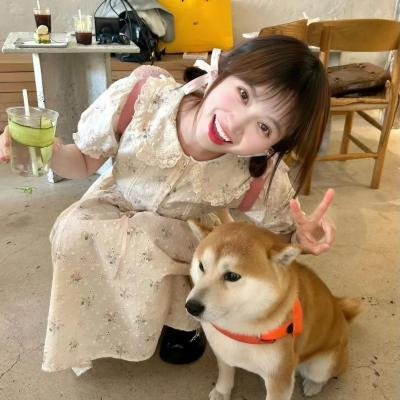 悬日